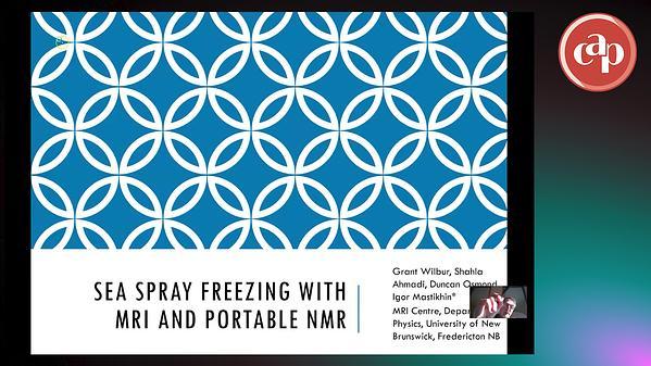 Sea spray freezing measurements with MRI and portable NMR