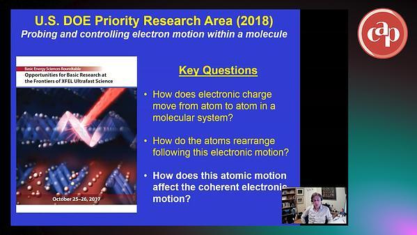 Coherent Ultrafast Electronic Dynamics in Molecules