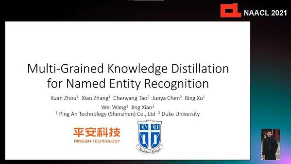 Multi-Grained Knowledge Distillation for Named Entity Recognition