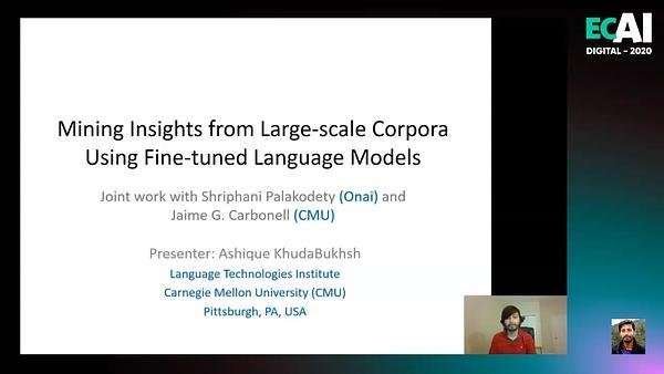 Mining Insights from Large-scale Corpora Using Fine-tuned Language Models