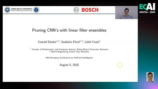Pruning CNN's with linear filter ensembles