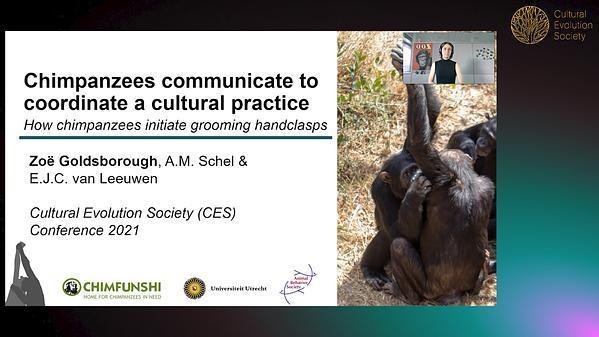 Chimpanzees communicate to coordinate a cultural practice