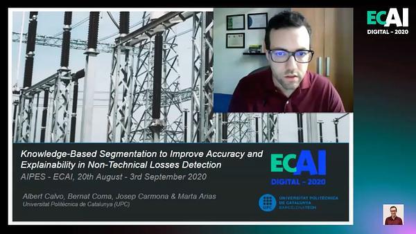 Knowledge-Based Segmentation to Improve Accuracy and Explainability in Non-Technical Losses Detection