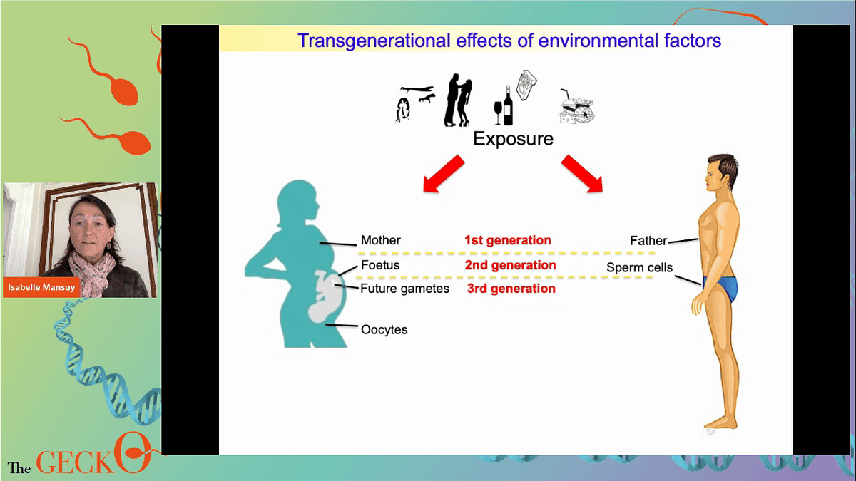 Lecture image placeholder