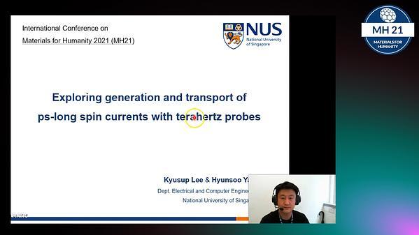 Exploring generation and transport of ps-long spin currents with terahertz probes