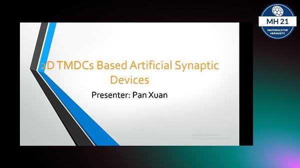 Artificial synapses based on two-dimensional van der Waals materials for brain-inspired computing