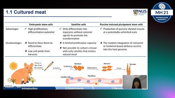 Electrospray of plant based hydrogel microbeads for lab-based meat culture