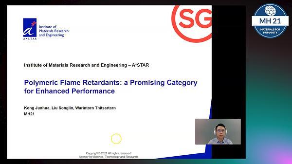 Polymeric Flame Retardants: a Promising Category for Enhanced Performance