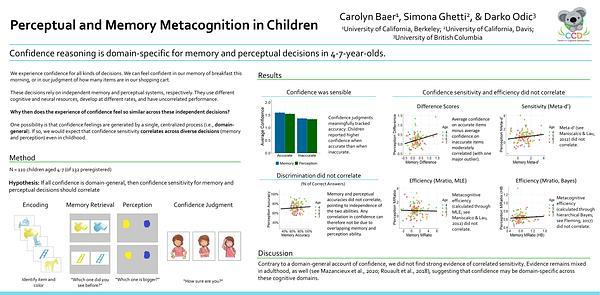 Perceptual and Memory Metacognition in Children