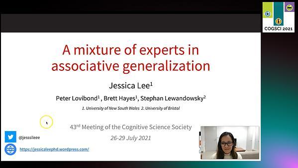 A Mixture of Experts in Associative Generalization