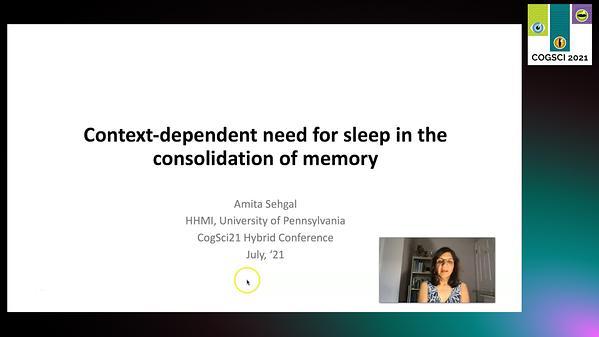 Context-dependent need for sleep in the consolidation of memory
