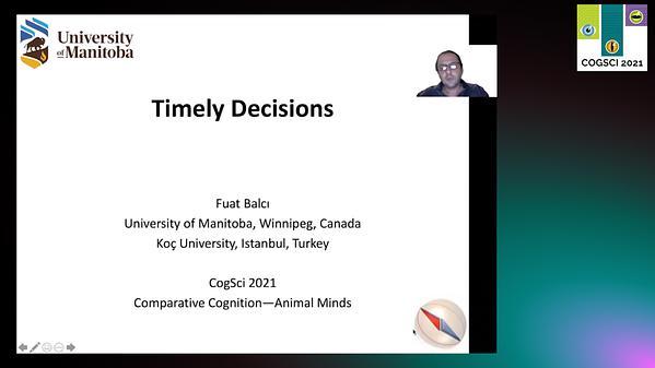 Timely Decisions