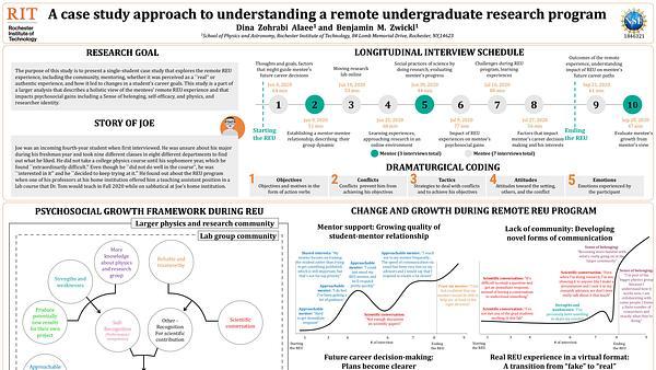A case study approach to understanding a remote undergraduate research program
