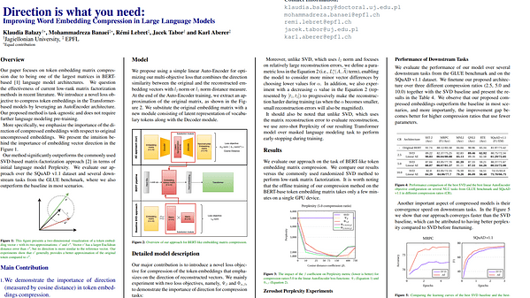 Direction is what you need: Improving Word Embedding Compression in Large Language Models