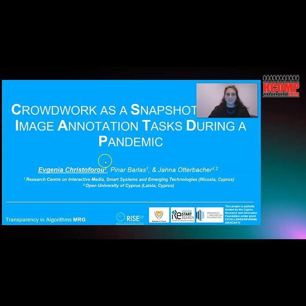 Crowdwork as a Snapshot in Time: Image Annotation Tasks during a Pandemic