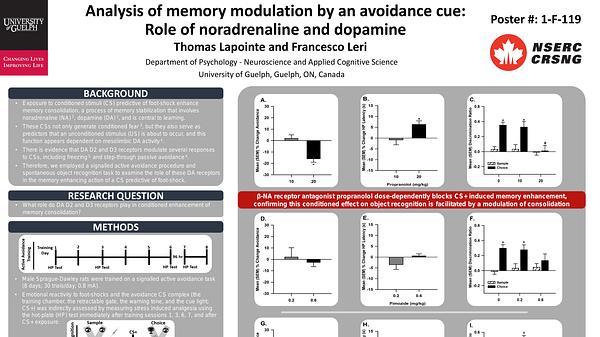 Analysis of memory modulation by an avoidance cue: role of noradrenaline and dopamine