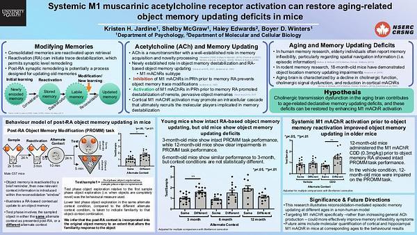 Systemic M1 muscarinic acetylcholine receptor activation can restore aging-related object memory updating deficits in mice