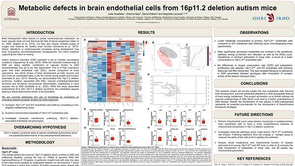 Metabolic defects in brain endothelial cells from 16p11.2 deletion autism mice