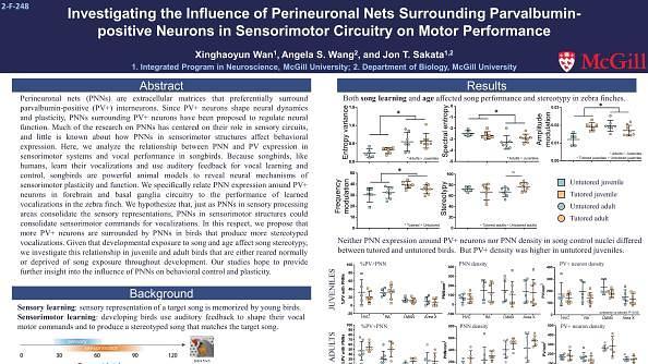 Investigating the influence of perineuronal nets surrounding parvalbumin-positive neurons in sensorimotor circuitry on motor performance