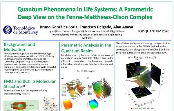 Quantum phenomena on life systems: a parametric deep view on the Fenna-Mathews-Olson complex