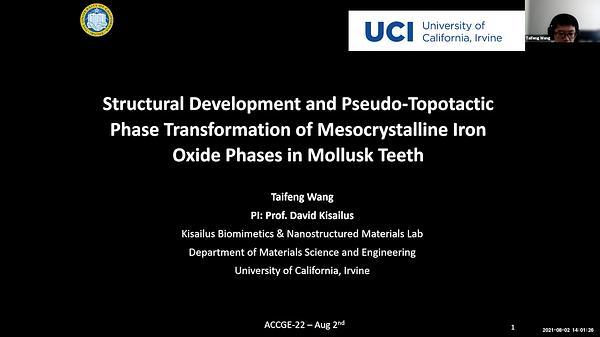 Biological and Biomimetic Materials III : Biomineralization 3