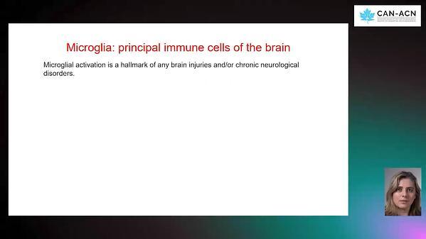 Microglial cells after brain injuries: sexually dimorphic and lost in translation