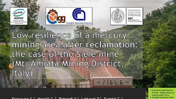 Low resilience of a mercury mining area after reclamation: the case of the Siele mine (Mt. Amiata Mining District, Italy)