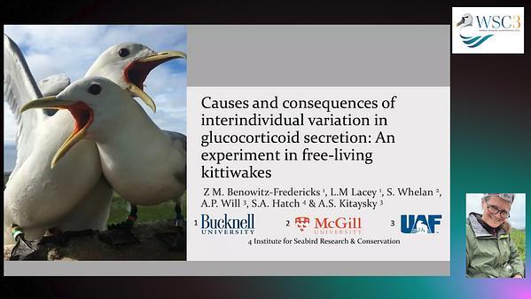 Causes and consequences of interindividual variation in glucocorticoid secretion: Experiments in free-living kittiwakes