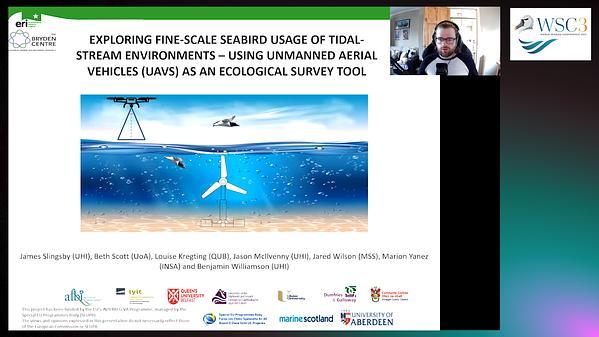 Exploring fine-scale seabird usage of tidal-stream environments - Using drones as an ecological survey tool