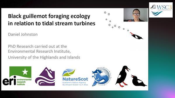 Investigating the foraging habitat of black guillemots in relation to tidal stream turbines