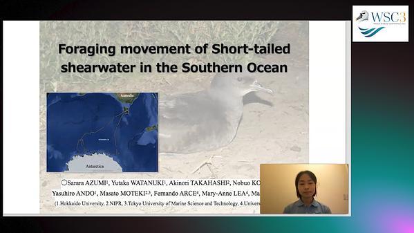 Foraging movement of short-tailed shearwater in the Southern Ocean