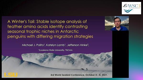 A Winter's Tail: Stable isotope analysis of feather amino acids identify contrasting seasonal trophic niches in Antarctic penguins with differing migration strategies