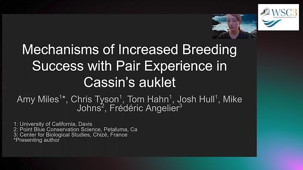 Mechanisms of Increased Breeding Success with Pair Experience in Cassin's Auklet