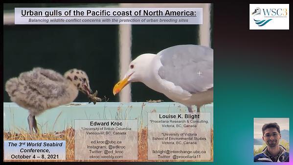 Urban gulls of the Pacific coast of North America: Balancing wildlife conflict concerns with the protection of urban breeding sites