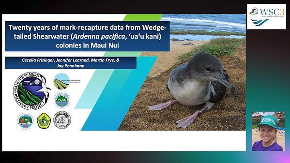 Twenty years of mark and recapture data from Wedge-Tailed Shearwater (Ardenna pacifica, 'ua'u kani) colonies in Maui Nui