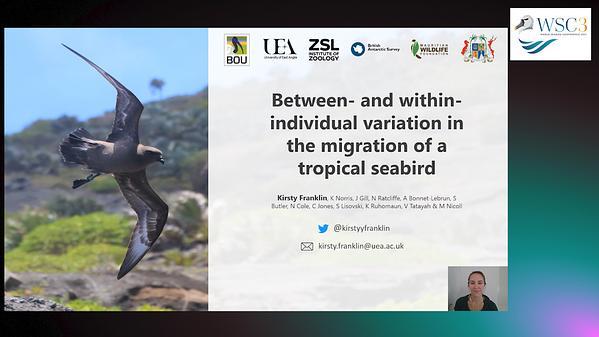 Between- and within- individual variation in the migration of a tropical seabird, the Round Island petrel