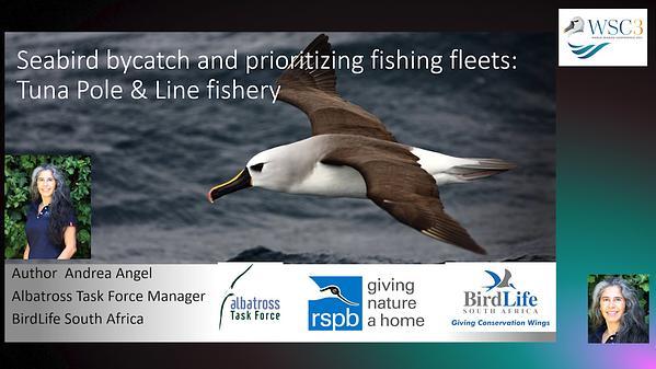 Seabird bycatch and prioritizing fishing fleets: tuna pole and line fishery