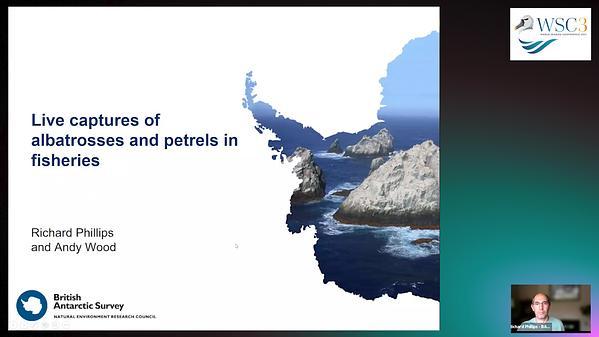 Variation in live-capture rates of albatrosses and petrels in fisheries, post-release survival and implications for monitoring and management