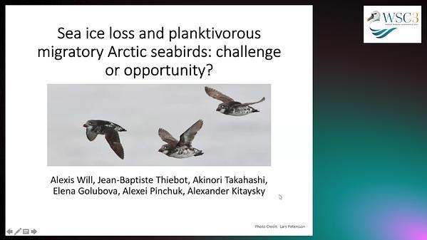 Sea ice loss and planktivorous migratory Arctic seabirds: challenge or opportunity?