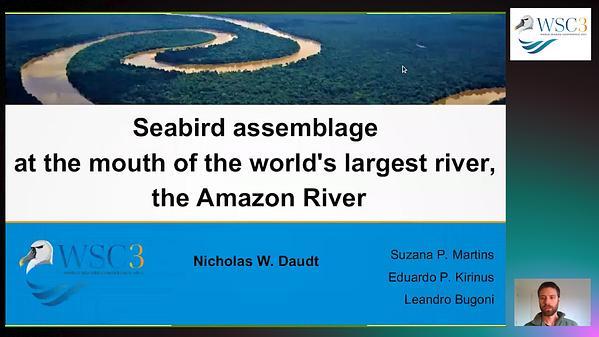 Seabird assemblage at the mouth of the world's largest river, the Amazon River