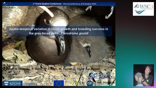 Spatio-temporal variation in chick growth and breeding success in the grey-faced petrel Pterodroma gouldi