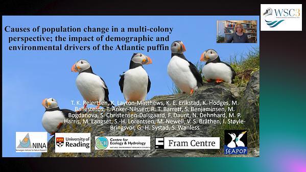 The impact of demographic and environmental drivers on the Atlantic puffin populations: a multi-colony perspective