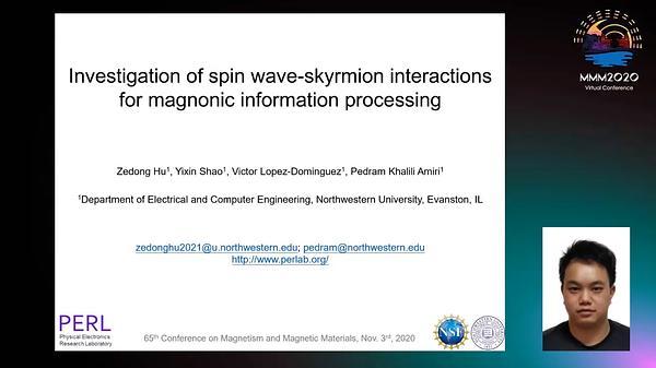 Investigation of spin wave - skyrmion interactions for magnonic information processing