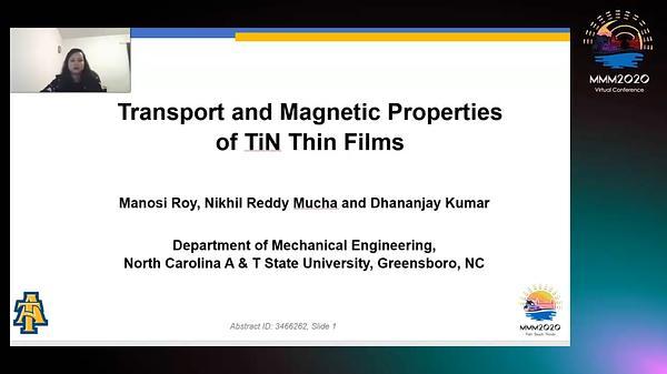 Transport and Magnetic Properties of TiN Thin Films