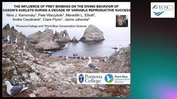 The influence of prey biomass on the diving behavior of Cassin's auklets during a decade of variable reproductive success