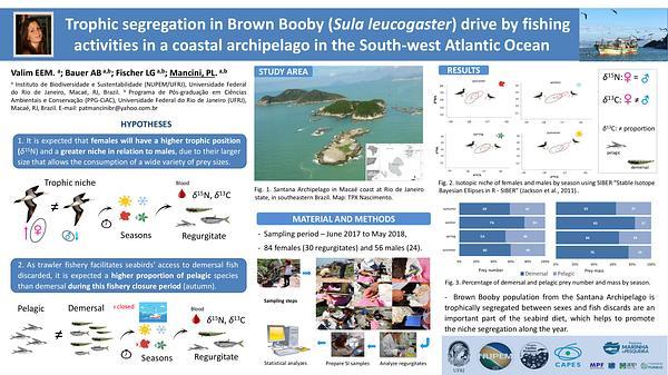 Trophic segregation in Brown Booby (Sula leucogaster) drive by fishing activities in a coastal archipelago in the Southwestern Atlantic Ocean.