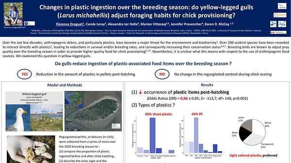 Changes in plastic ingestion over the breeding season: do yellow-legged gulls (Larus michahellis) adjust foraging habits for chick provisioning?