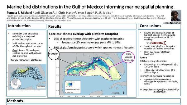 Marine bird distributions in the Gulf of Mexico: informing marine spatial planning