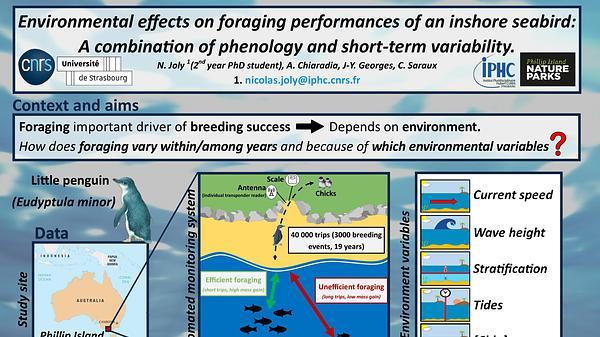 Environmental effects on foraging performances in an inshore seabird: a combination of phenology and short-term variability.
