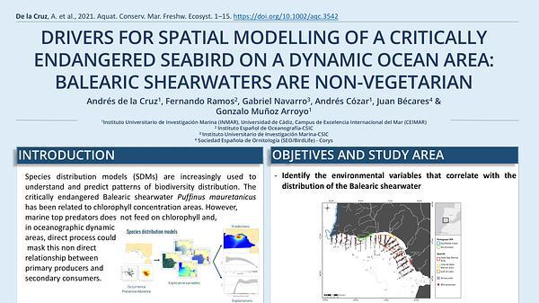 Drivers for spatial modelling of a critically endangered seabird on a dynamic ocean area: Balearic shearwaters are non-vegetarian